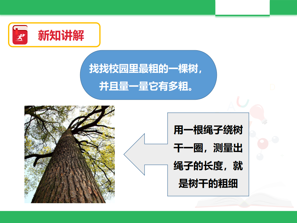 《多姿多彩的植物》课件_14.png