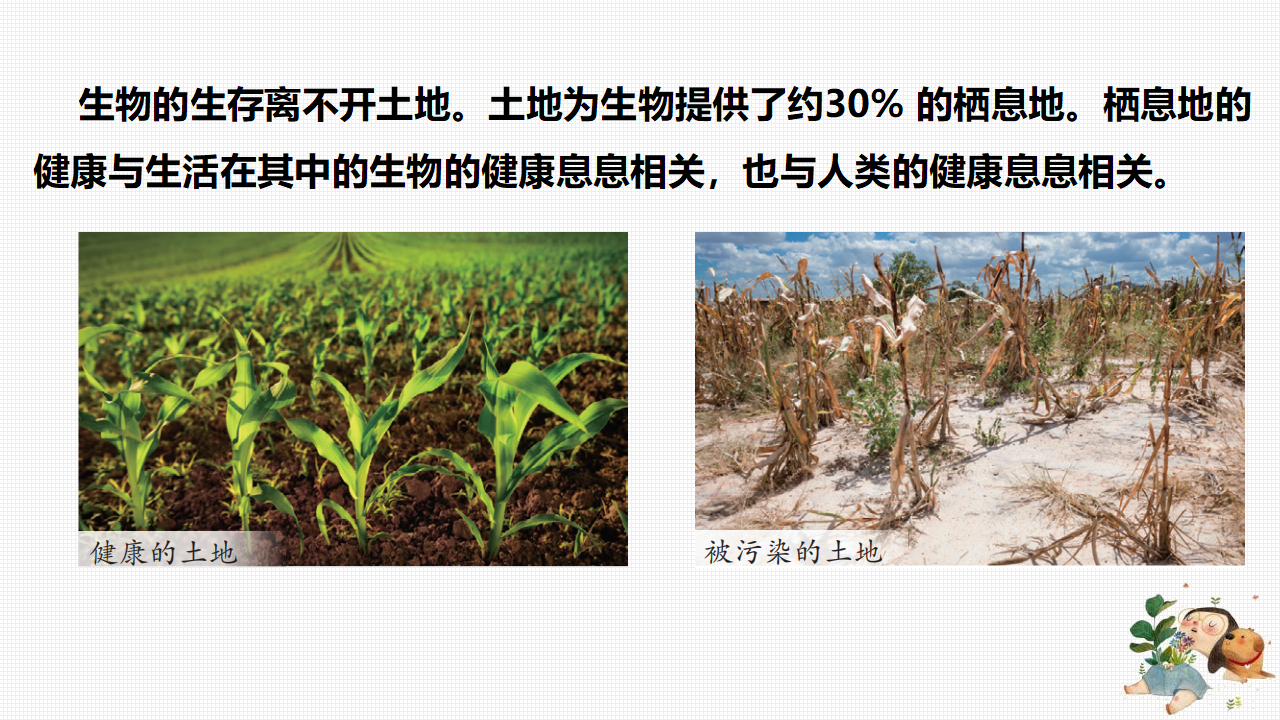 4.16 健康的土地（课件）-2022-2023学年六年级科学下册同步备课（苏教版）_03.png