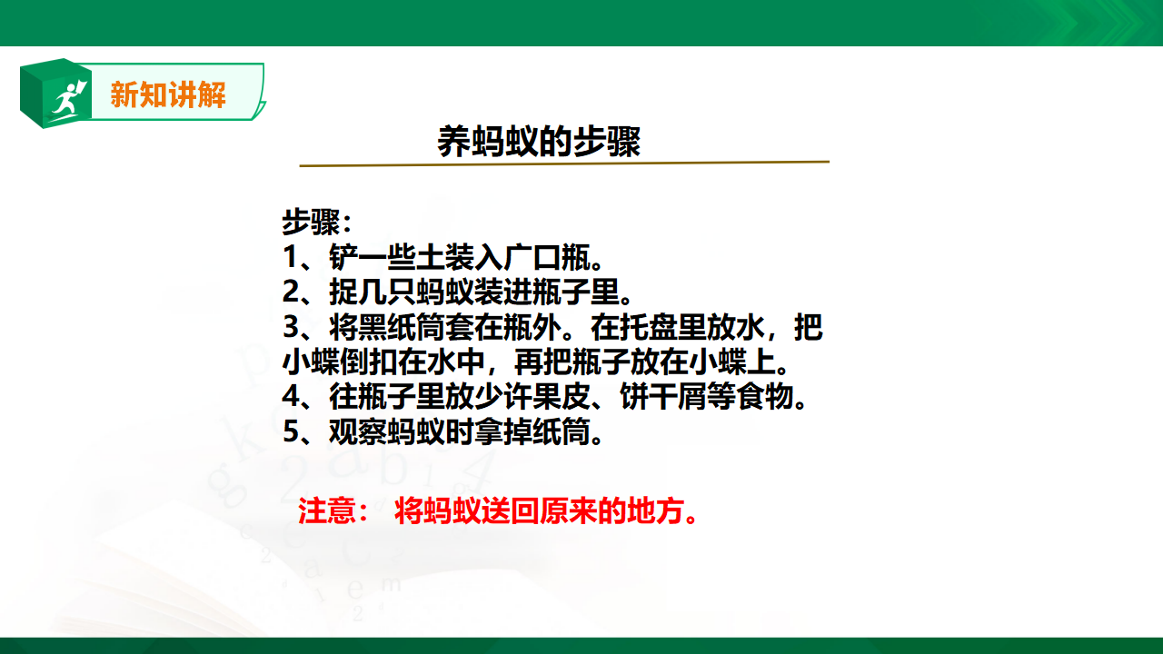 苏教版-科学 二下8 养蚂蚁-课件_16.png