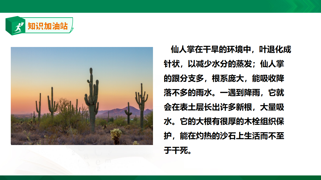 苏教版-科学 二下7 栽小葱-课件_21.png
