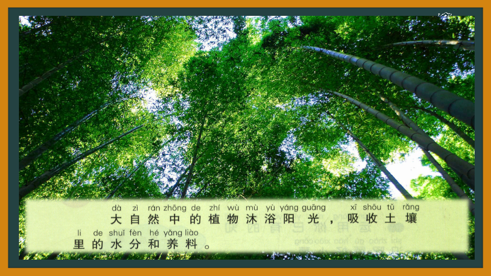 7.栽小葱（陕西  段小丹）_10.png