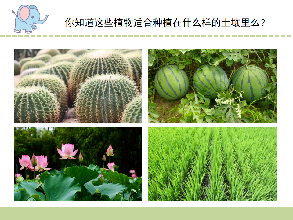 5.土壤的类型_02.png