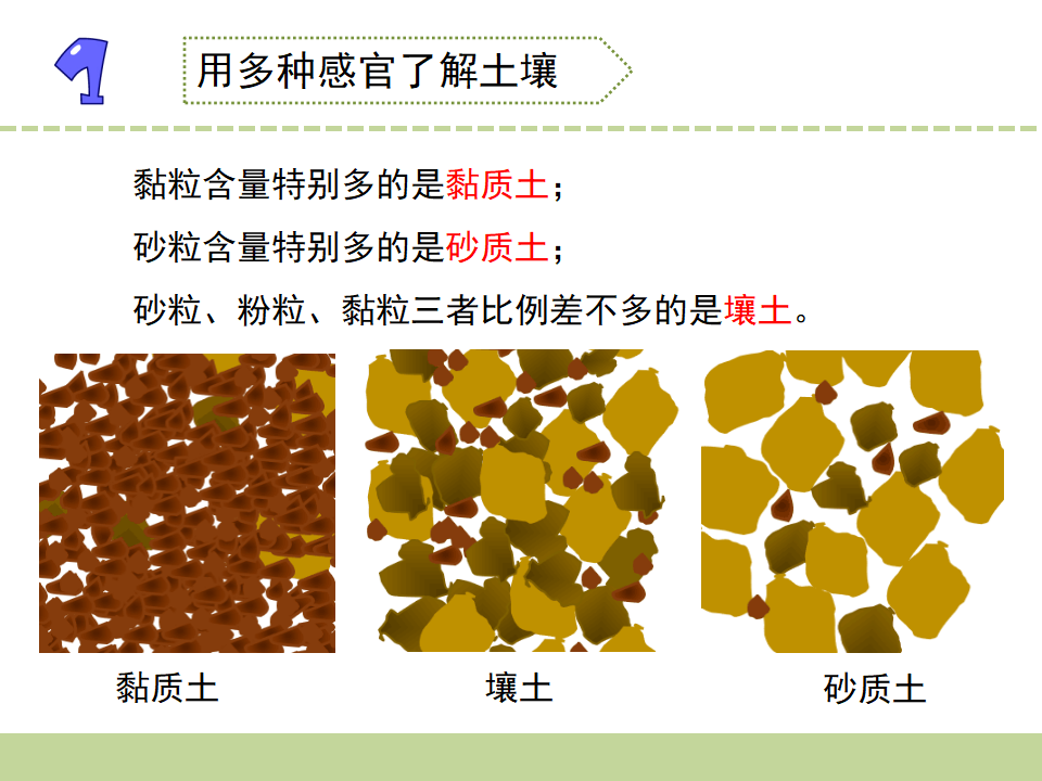 5.土壤的类型_10.png