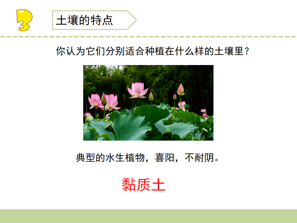 5.土壤的类型_17.png