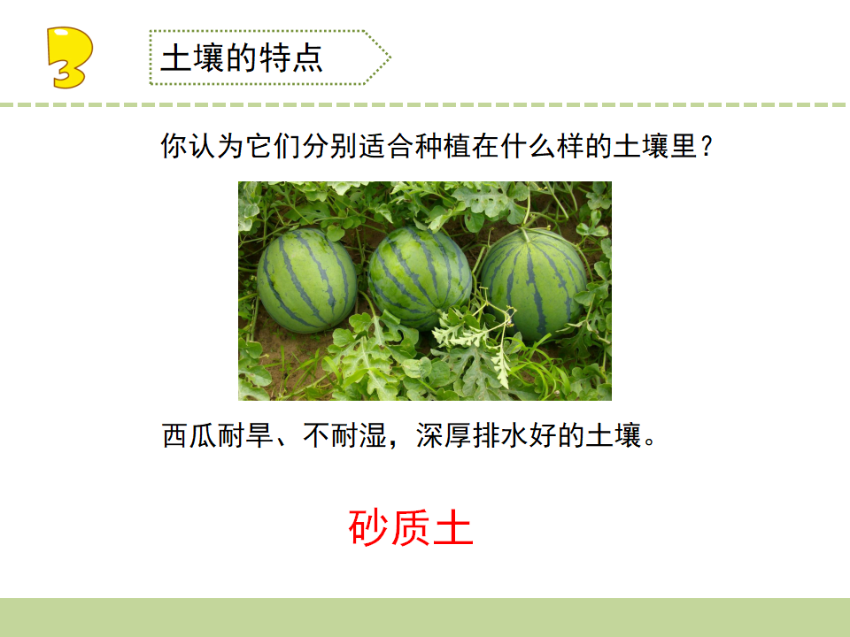 5.土壤的类型_19.png