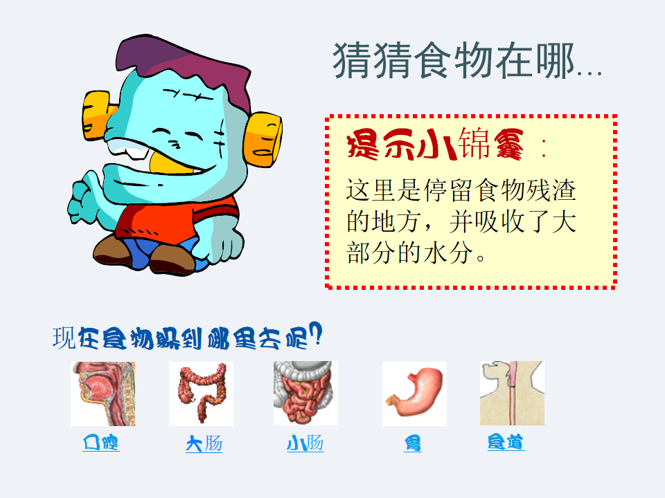 18.食物的旅行_14.png