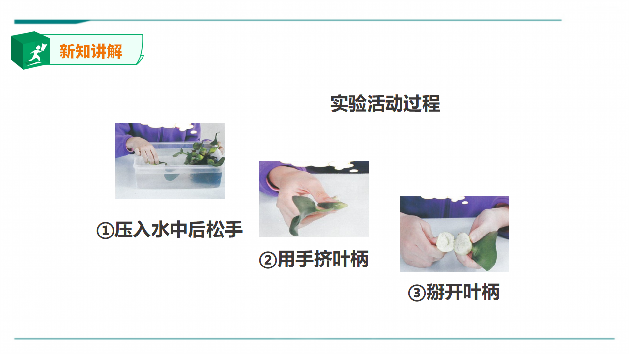 苏教版（2019）科学三年级下2.7《水里的植物》课件_10.png