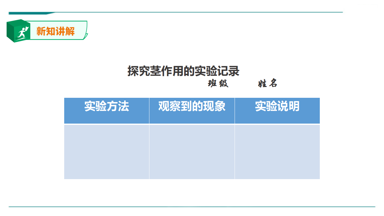 苏教版（2019）科学三年级下1.2《幼苗长大了》课件 教案 练习 素材_15.png