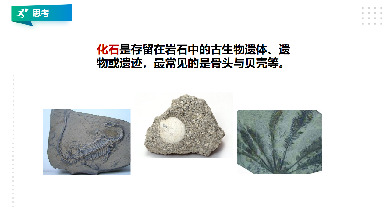 3.8《消逝的恐龙》课件（29张PPT）_11.png