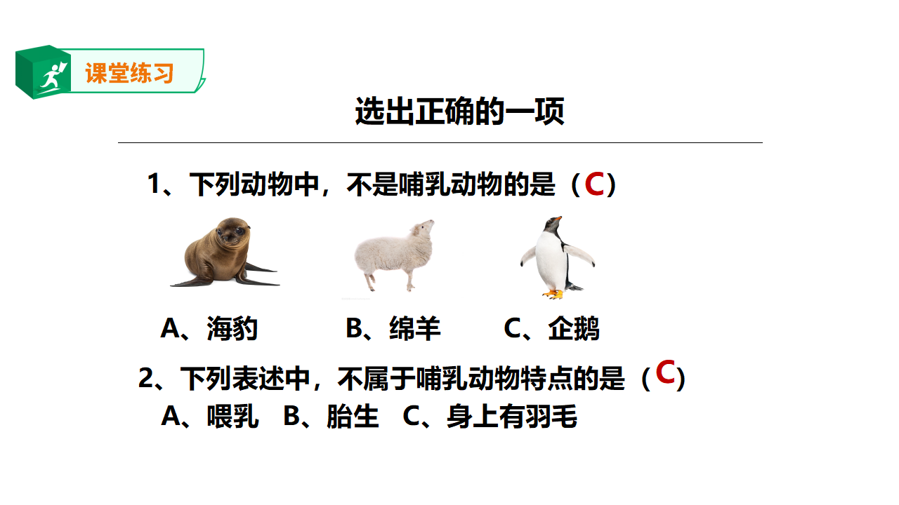 1.4《哺乳动物》课件（32张PPT）_24.png