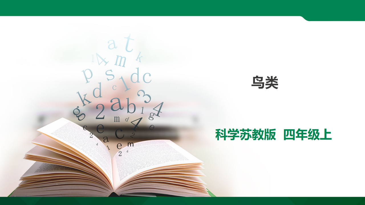 1.3《鸟类》课件（33张PPT）_01.png