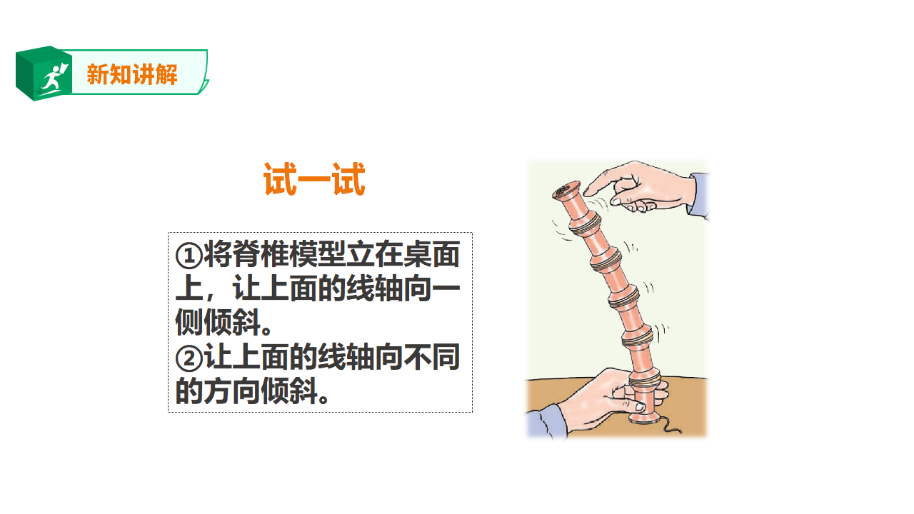1.1《给动物分类》课件（27张PPT）_16.png