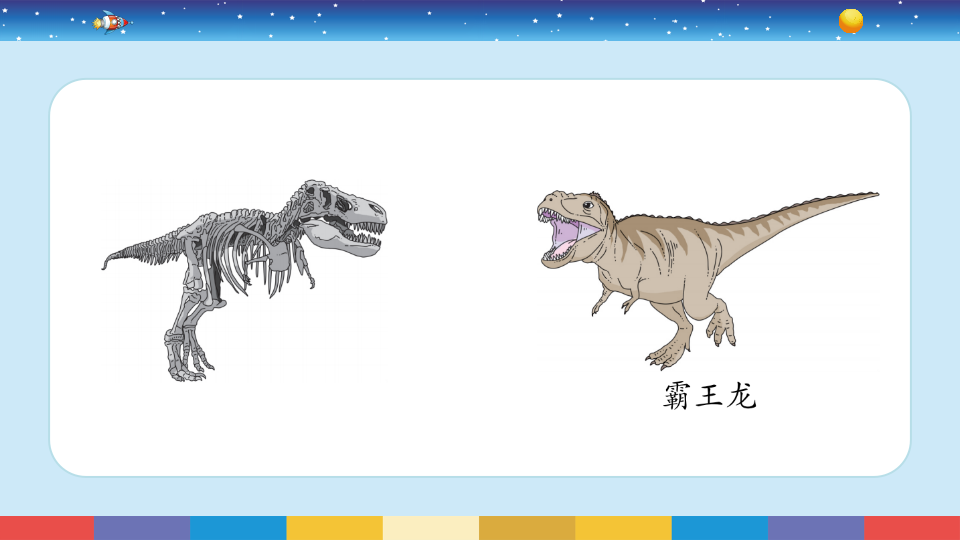苏教版六年级上册科学 8消失的恐龙 （课件13 ppt）_11.png
