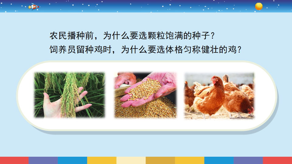 苏教版六年级上册科学 5生物的遗传 课件17ppt）_03.png