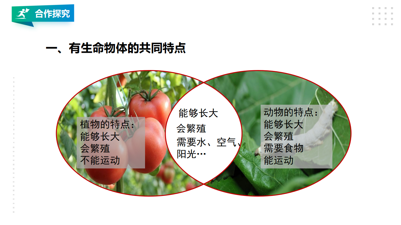 生物与非生物_07.png