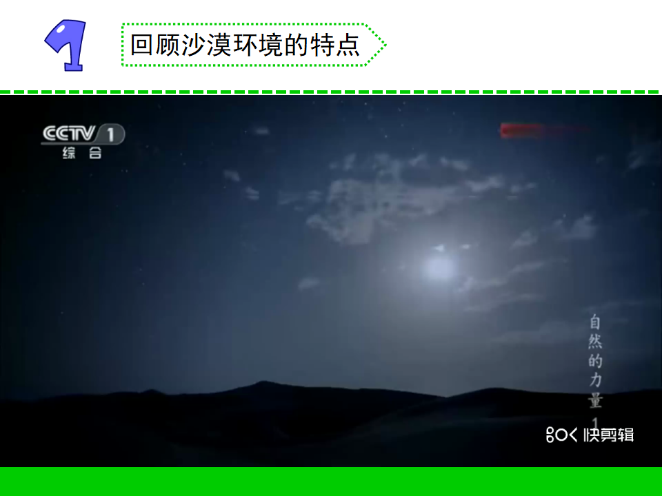 6.沙漠中的植物（陕西  顾颖）_03.png