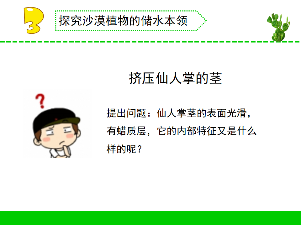 6.沙漠中的植物（山东  苑春芳）_06.png