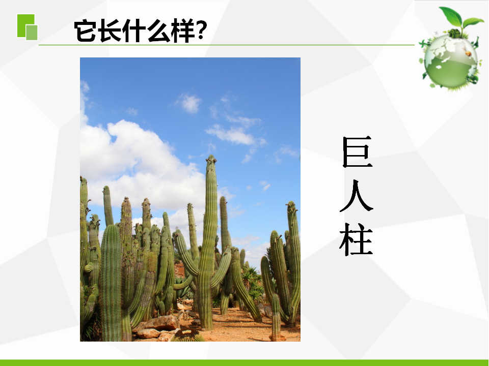 5.不同环境里的植物（江苏  陆新丽）_05.png