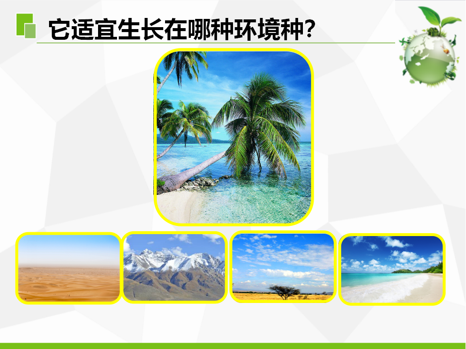5.不同环境里的植物（江苏  陆新丽）_15.png
