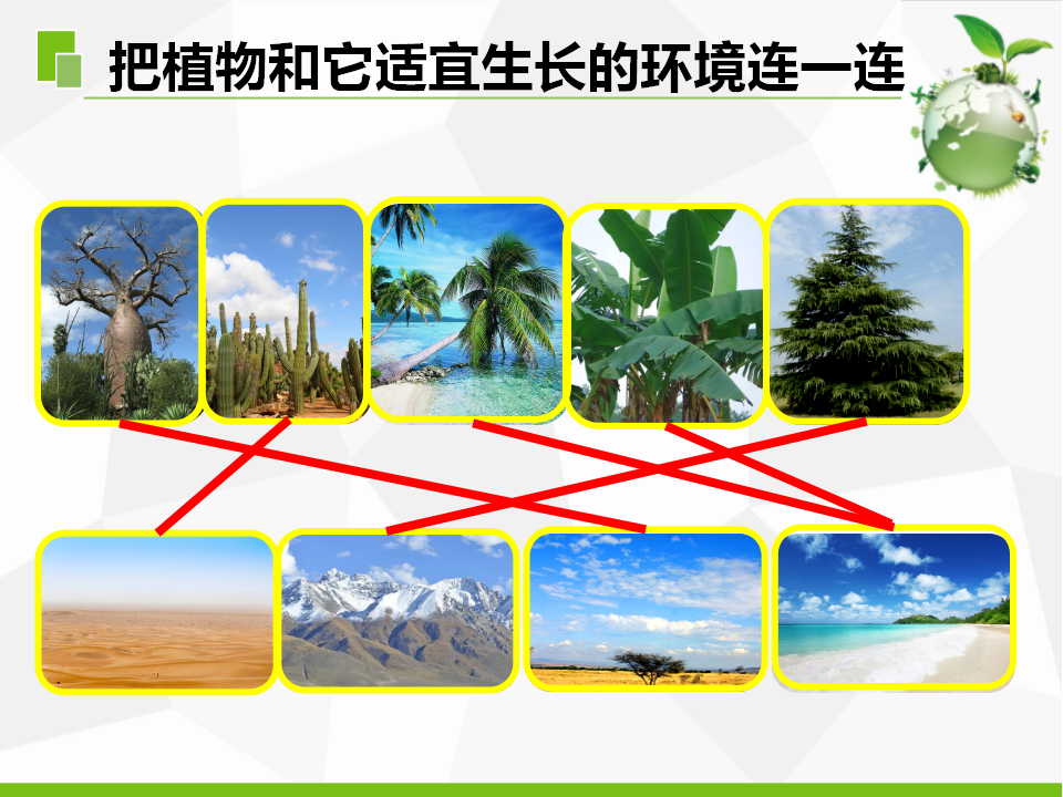 5.不同环境里的植物（江苏  陆新丽）_21.png