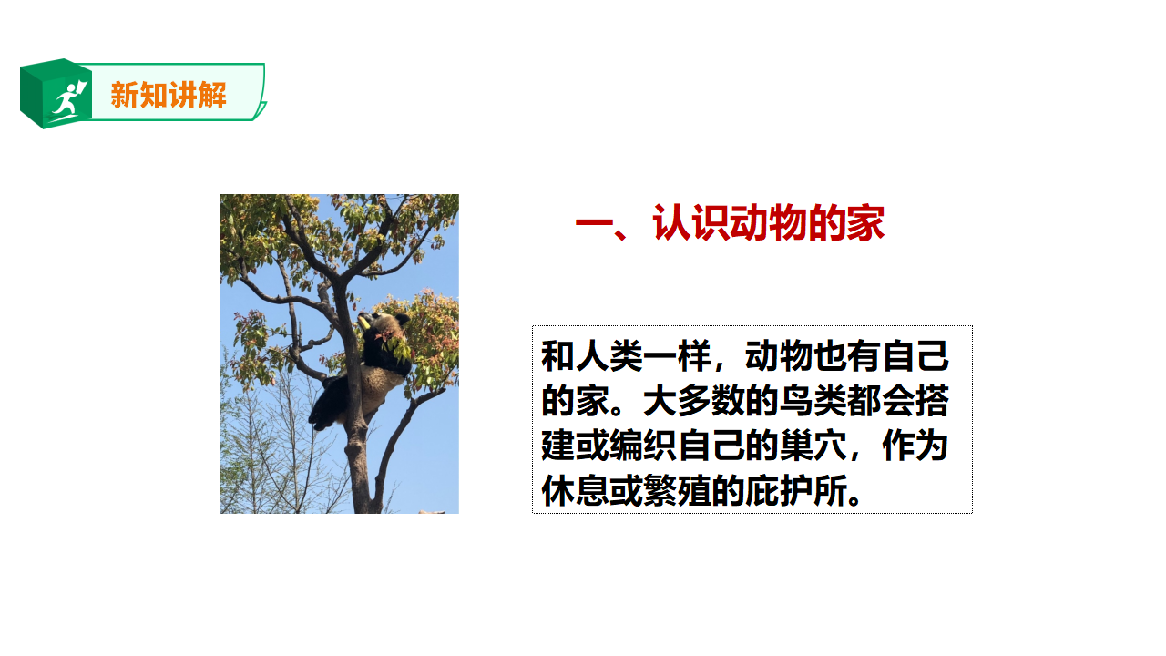 5.16《动物的庇护所》课件_03.png