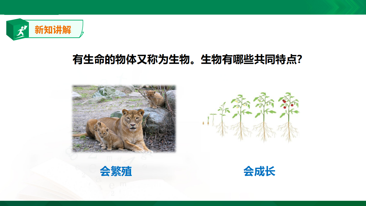 5.15《生物与非生物》课件_07.png