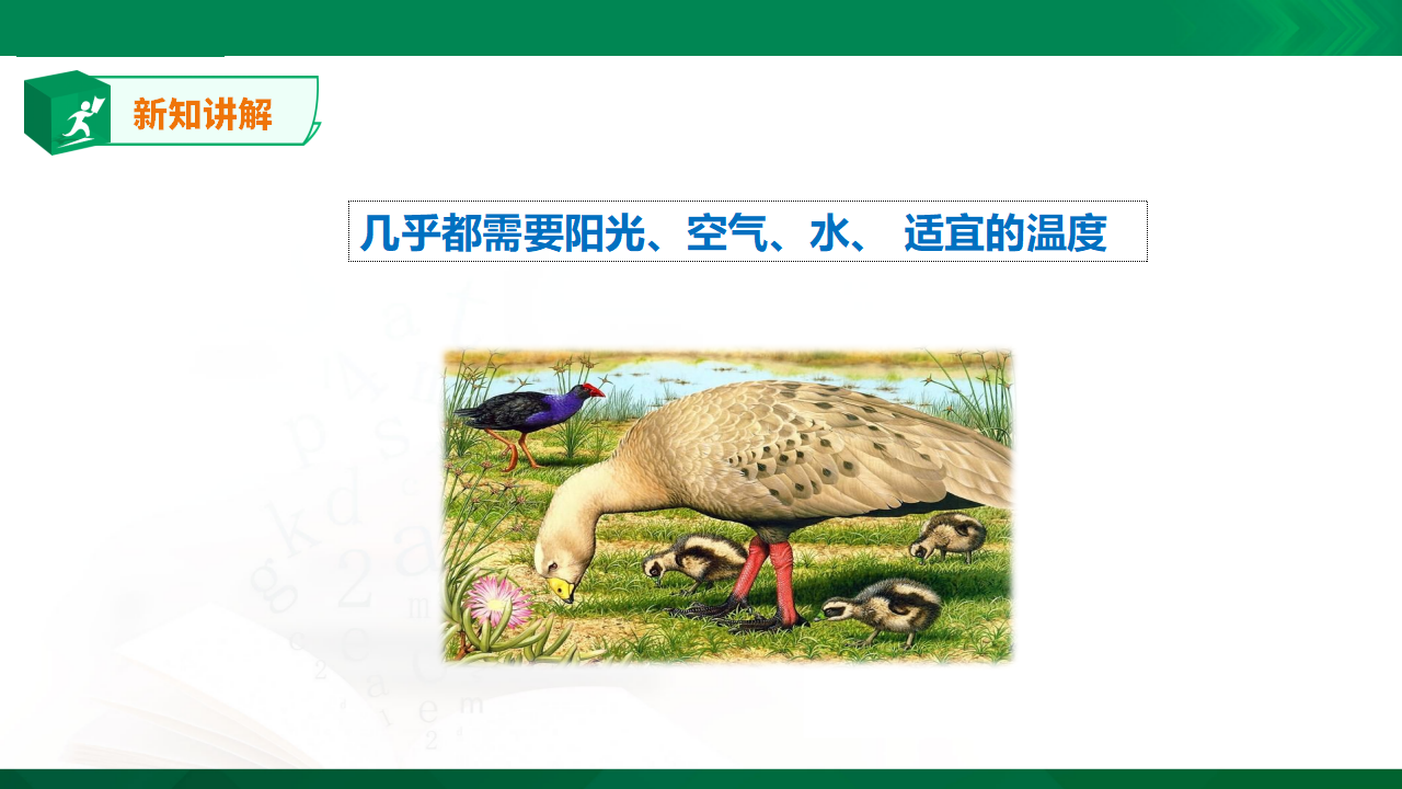 5.15《生物与非生物》课件_09.png
