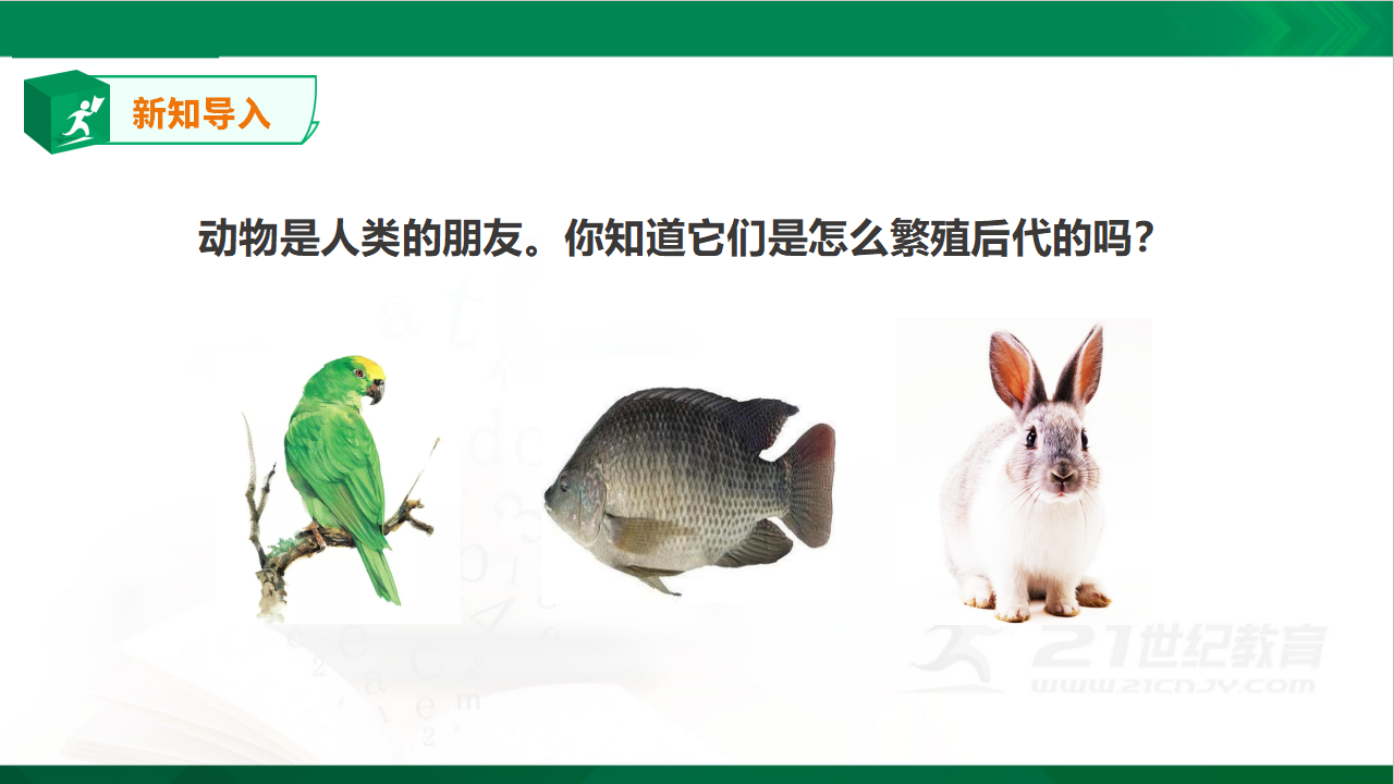 4.14《动物的繁殖》课件_02.png