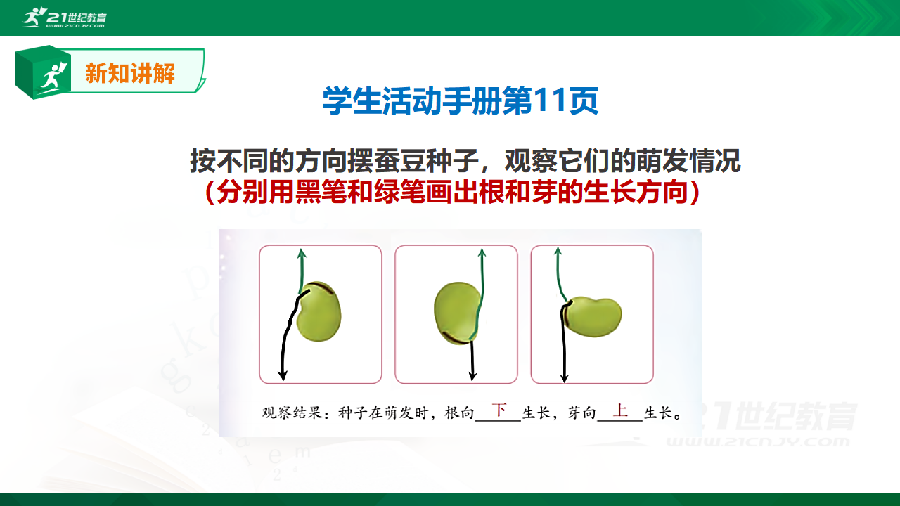 4.12《用种子繁殖》课件_17.png