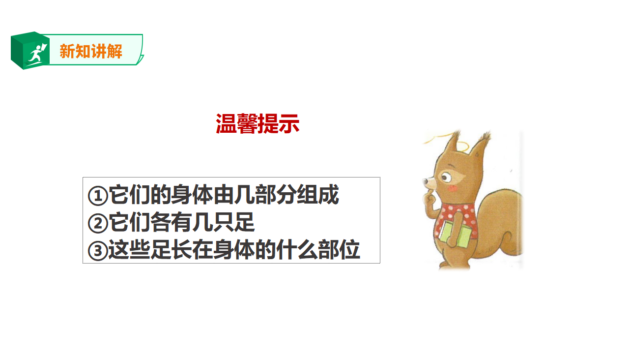 3.9《庞大的“家族”》课件_06.png