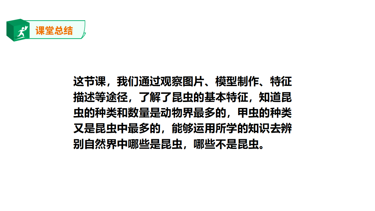 3.9《庞大的“家族”》课件_26.png