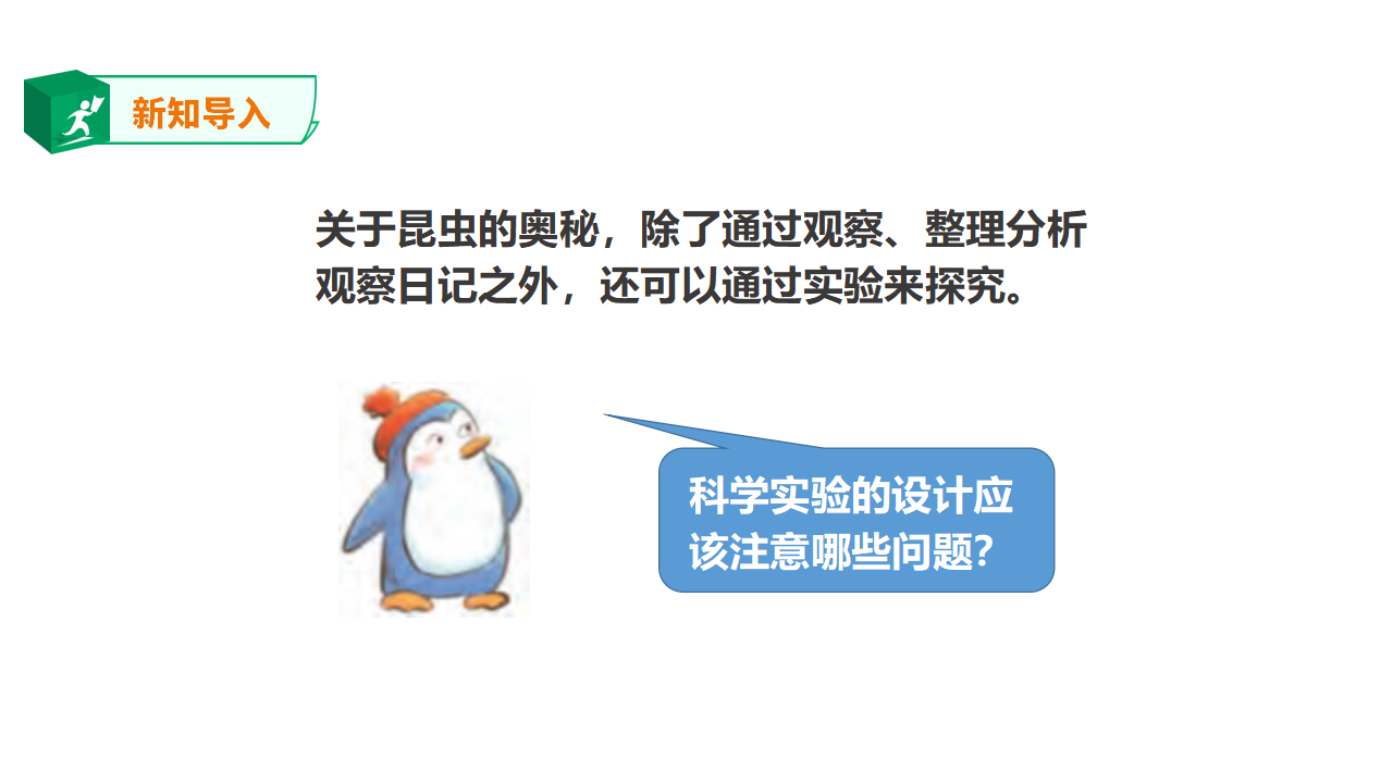 3.11《探究昆虫的奥秘》课件_06.png