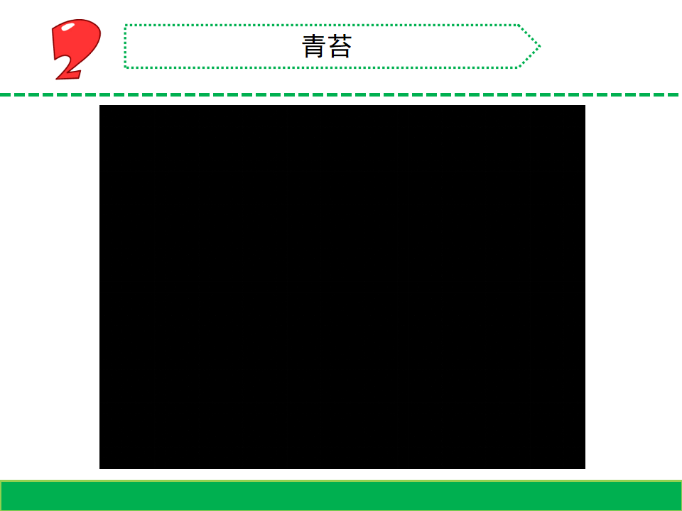 8.石头上的植物（山东  程艳丽）_06.png