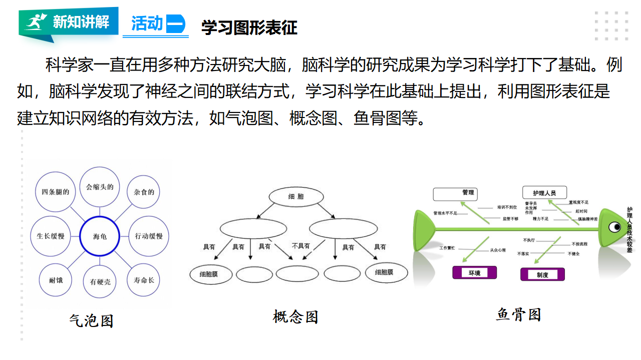 20大脑的开发与利用 课件_03.png