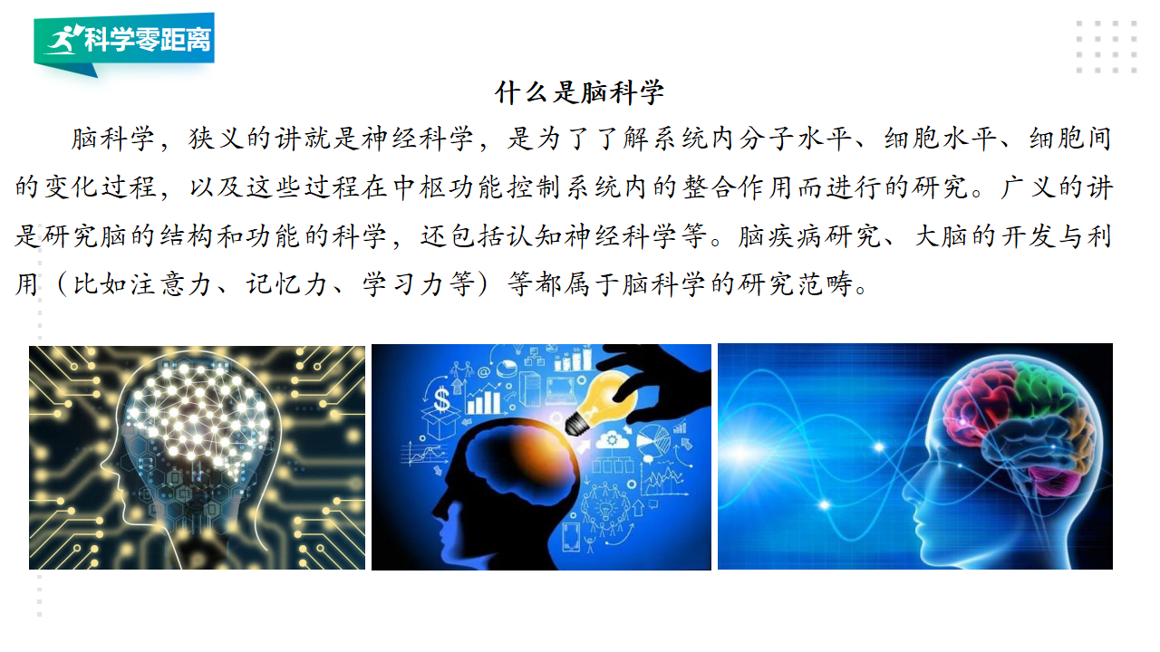 20大脑的开发与利用 课件_09.png