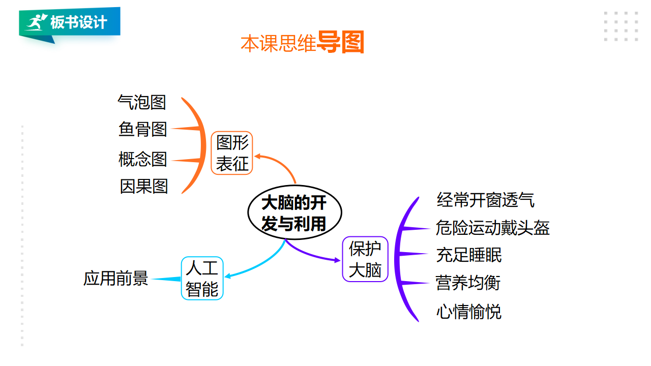 20大脑的开发与利用 课件_24.png