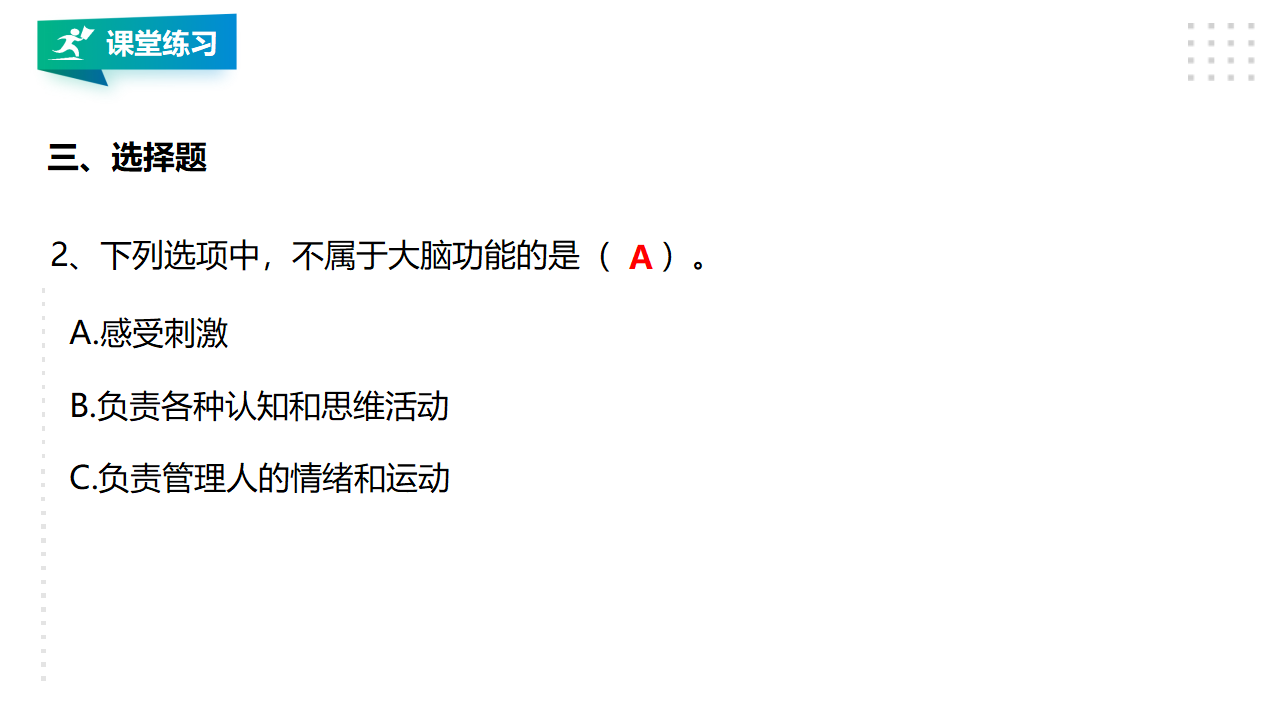19我们的大脑 课件_29.png