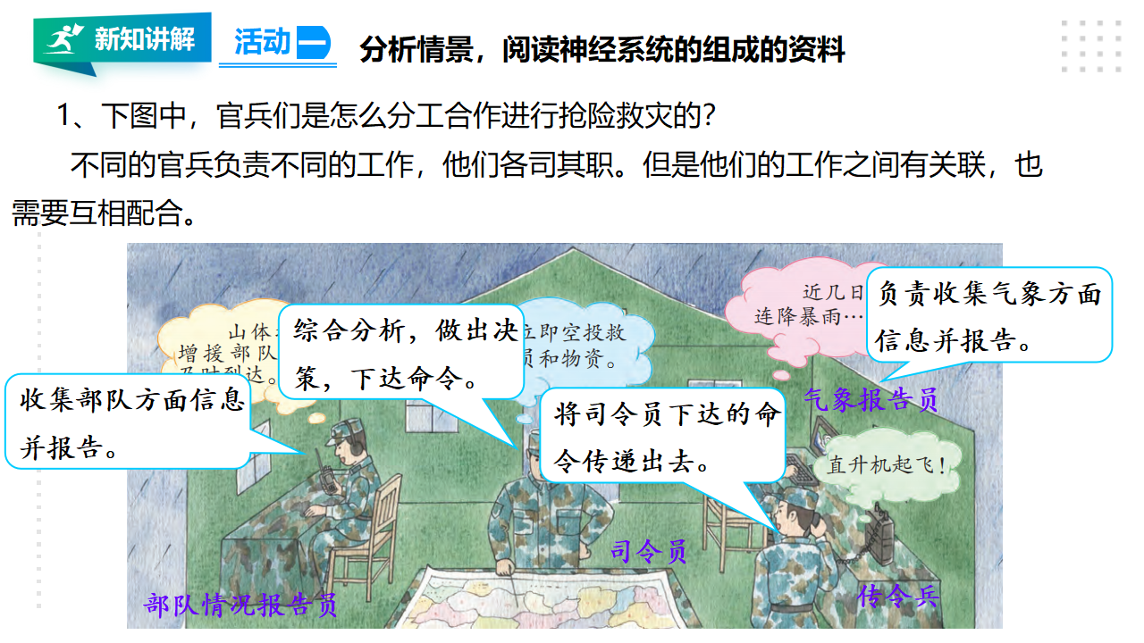 18从刺激到反应 课件_03.png