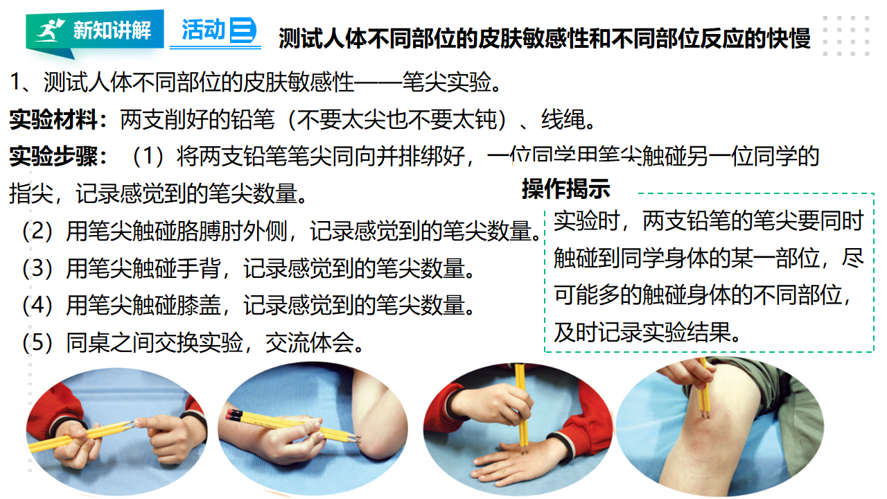 18从刺激到反应 课件_08.png