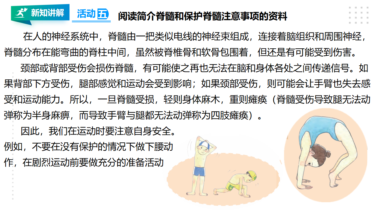 18从刺激到反应 课件_17.png
