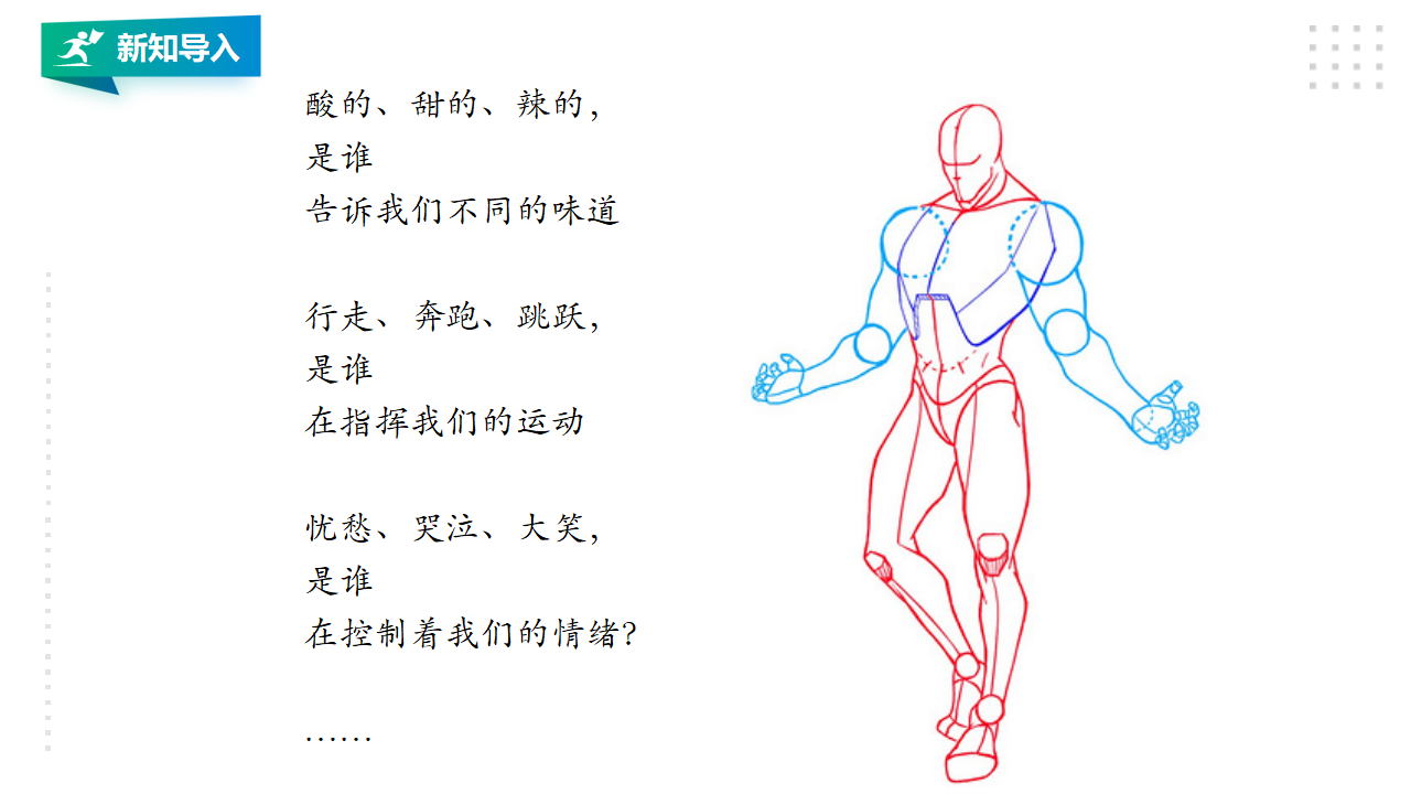 17刺激与反应 课件_01.png