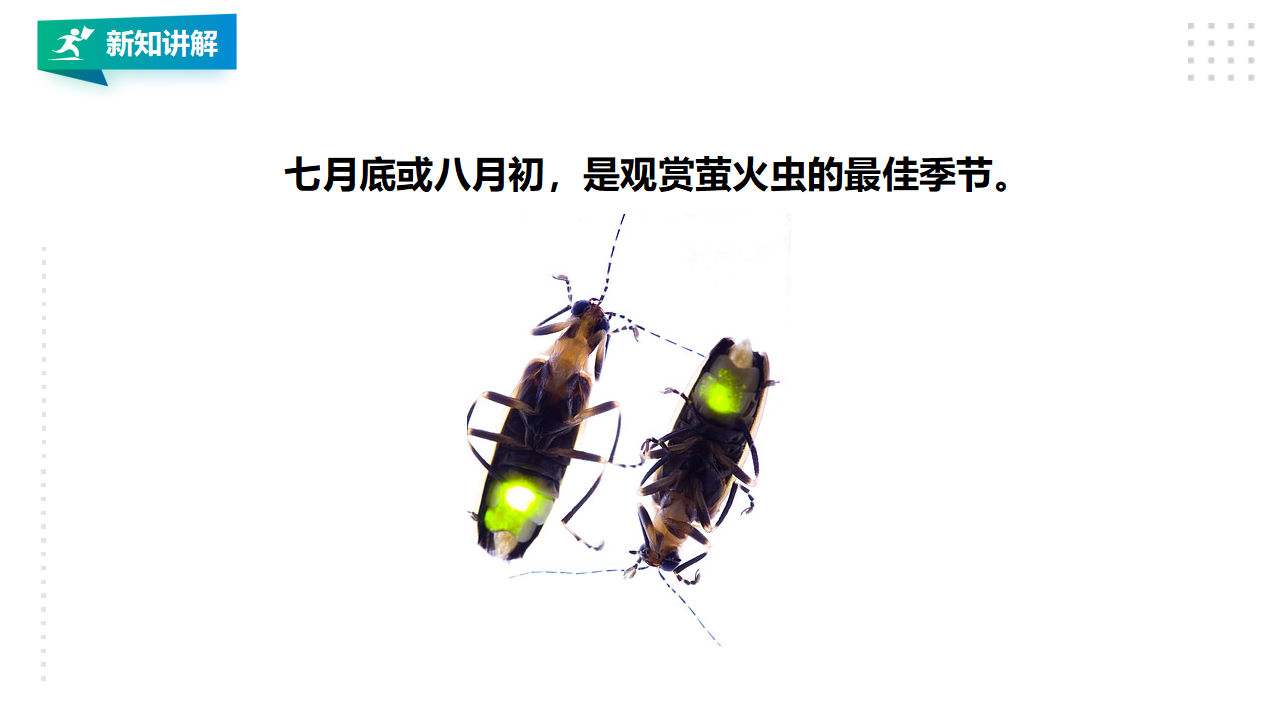 5.18《专项学习  像科学家那样……》课件（35张PPT）_11.png