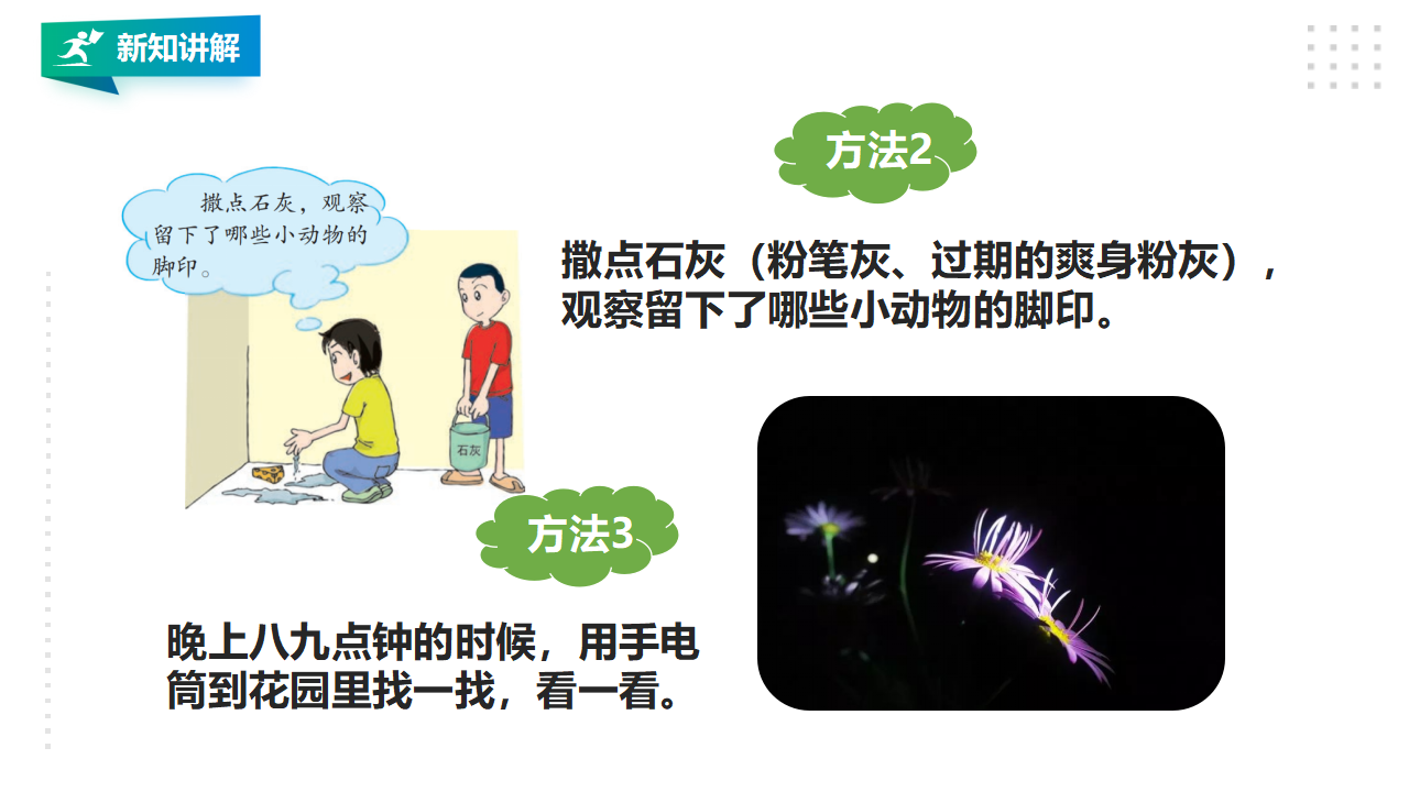 3.11《昼夜对动物的影响》课件（29张PPT）_09.png