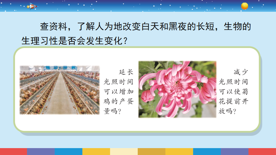 3.11《昼夜对动物的影响》_11.png