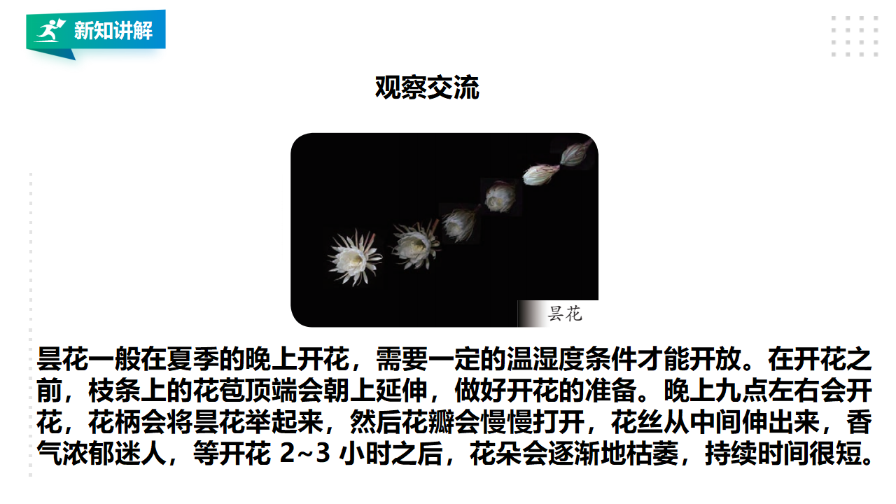 3.10《昼夜对植物的影响》课件（30张PPT）_22.png