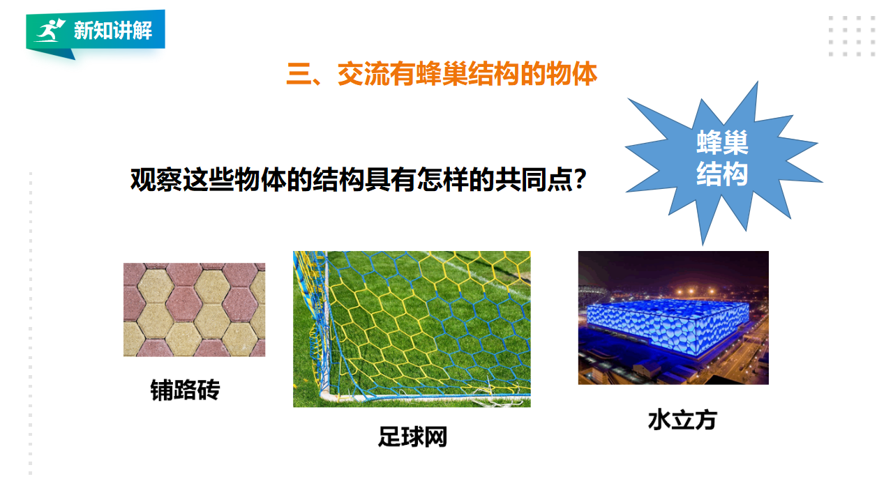 2.5《生物的启示》课件（30张PPT）_17.png