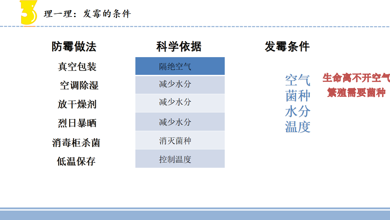 1.3发霉与防霉（课件）_09.png