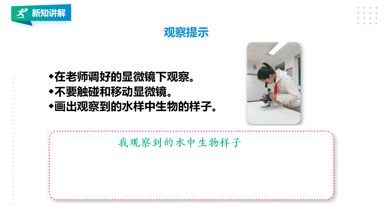 1.2《微小的生命体》课件（29张PPT）_12.png
