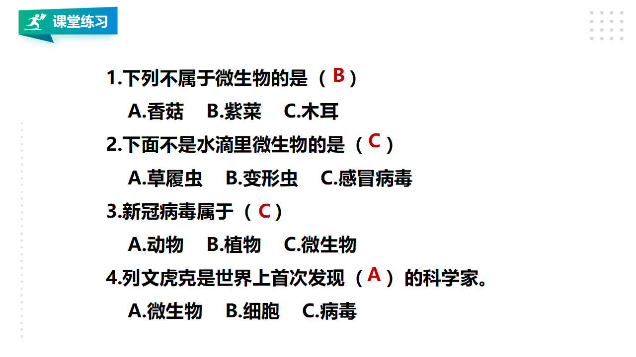 1.2《微小的生命体》课件（29张PPT）_23.png
