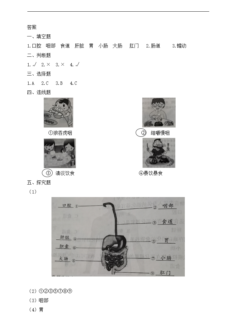 【精】苏教版科学三年级上册一课一练-18食物的旅行（含答案）23104000_03.png